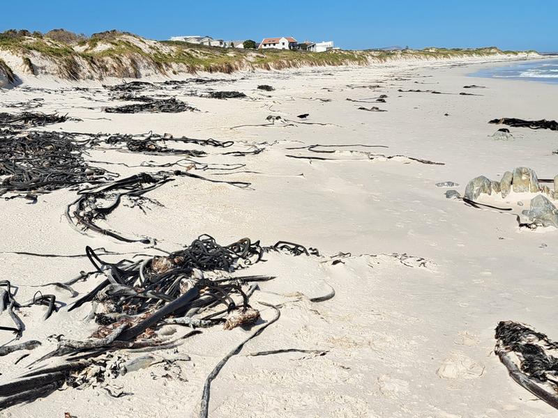 4 Bedroom Property for Sale in Pearly Beach Western Cape